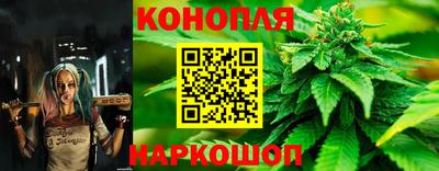 дурь Будённовск