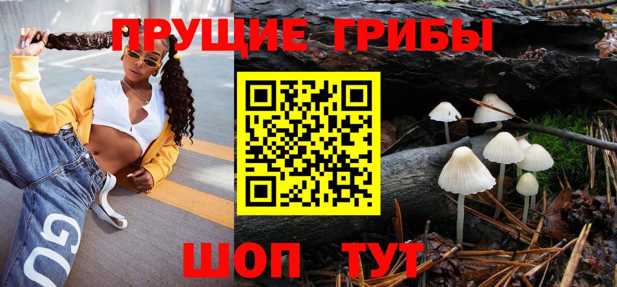 Галлюциногенные грибы Psilocybine cubensis  Вход с VPN  Новоалтайск 