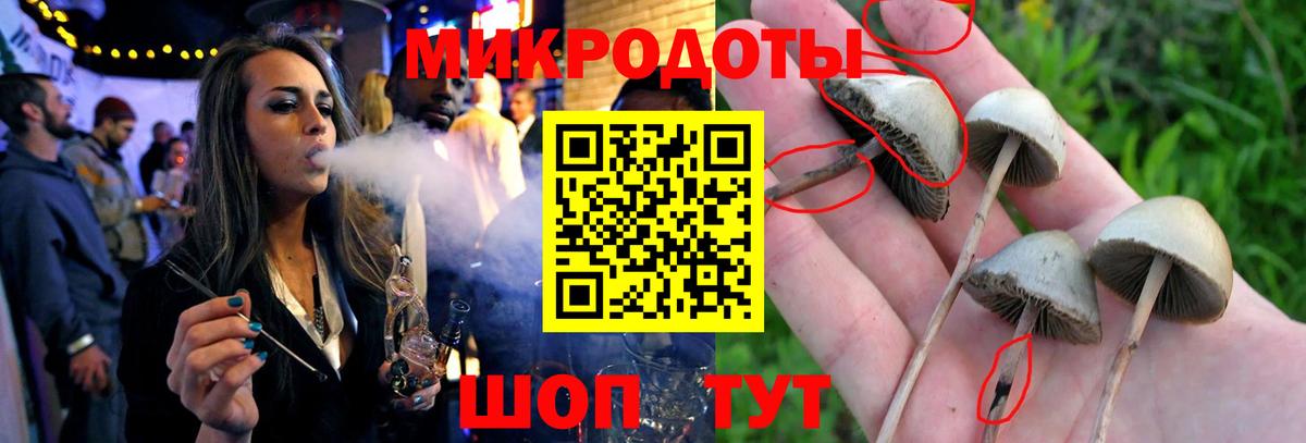 Галлюциногенные грибы MAGIC MUSHROOMS Новоалтайск